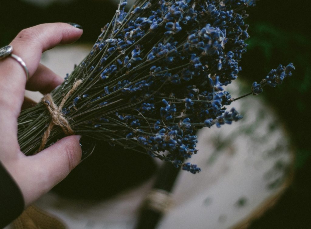Hand holding a small bundle of dried lavender against a soft, natural background.