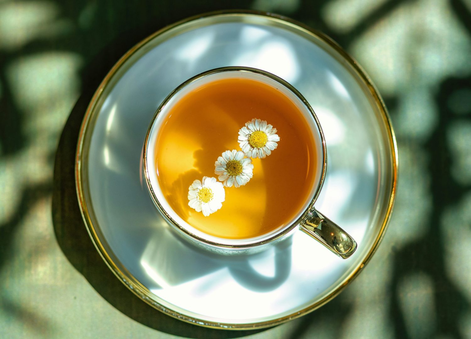 A top-down view of a cup of herbal tea with chamomile flowers floating on the surface, set on a delicate white and gold saucer.