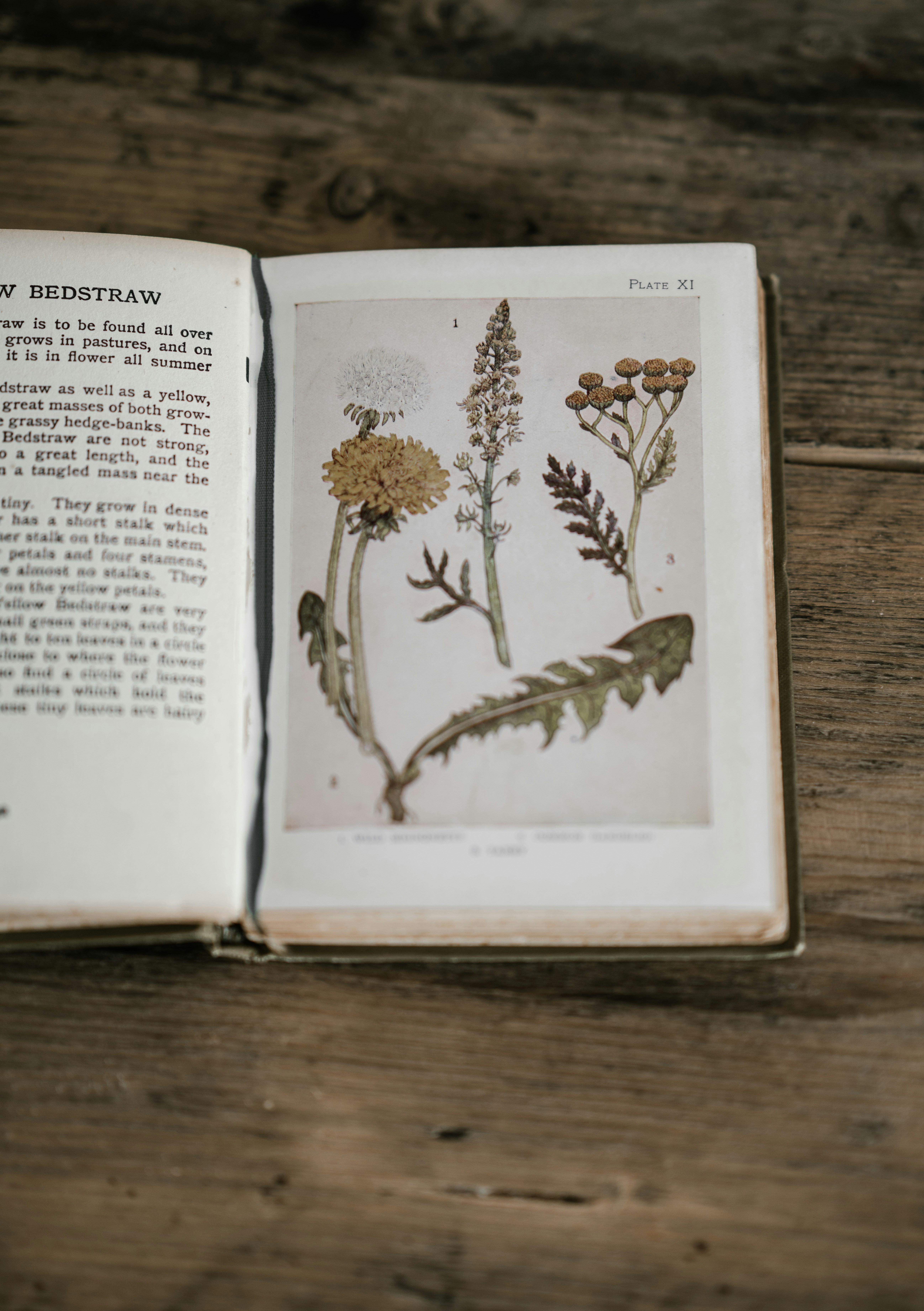 The Chemistry of Extraction: Matching Your Method to Your Plant